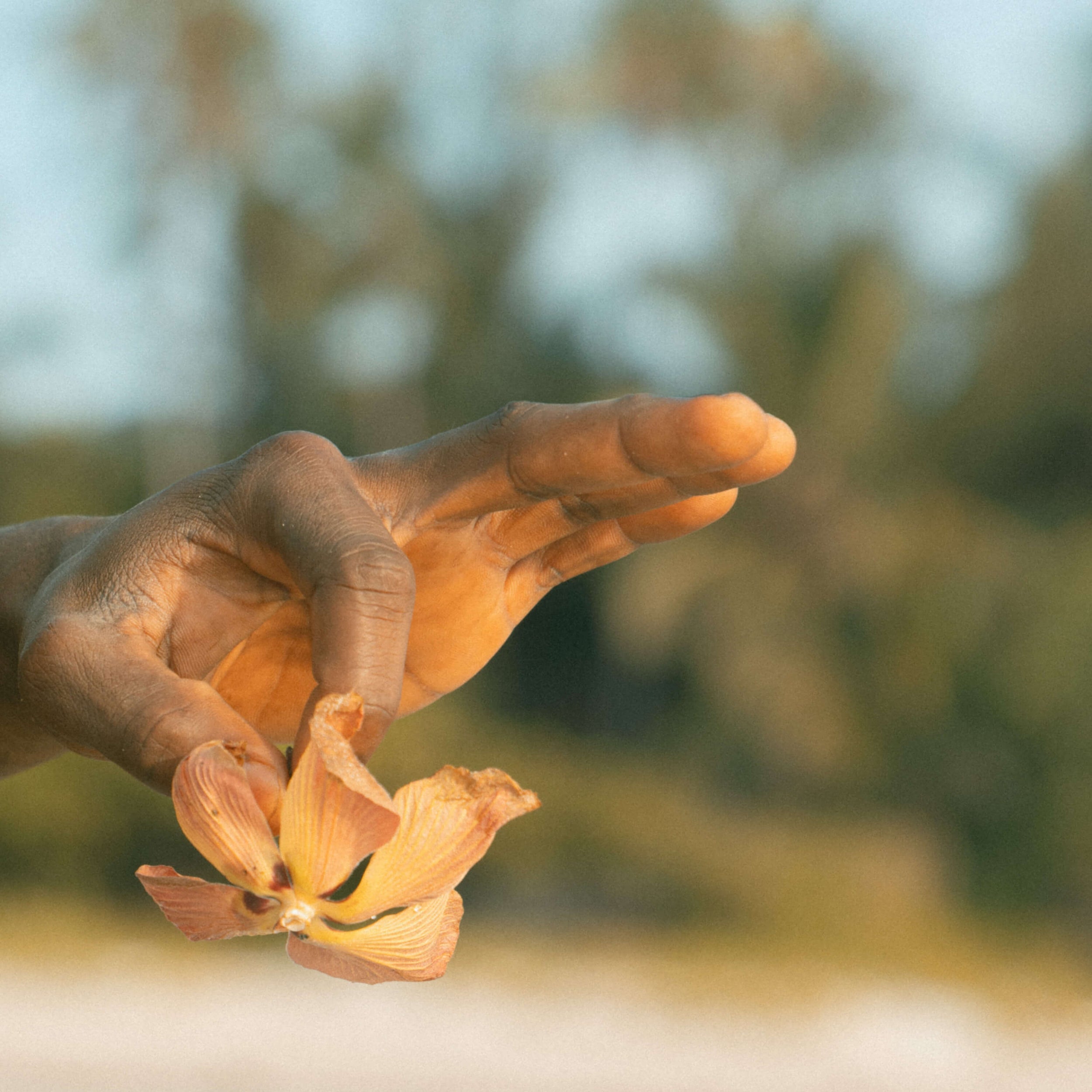 Calming Aromatic Spray